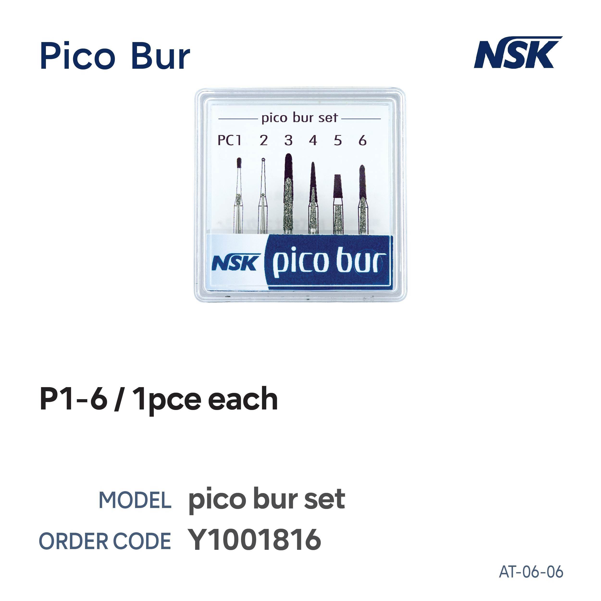 Pico Assorted Bur Box